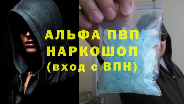 спиды Болотное