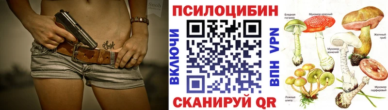 Галлюциногенные грибы GOLDEN TEACHER  сколько стоит  Апшеронск 