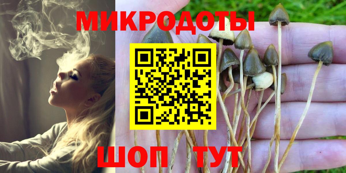 Псилоцибиновые грибы MAGIC MUSHROOMS Апшеронск